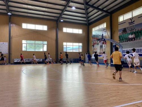 2020年度豐臺(tái)區(qū)青少年各項(xiàng)目運(yùn)動(dòng)隊(duì)暑期集訓(xùn)工作圓滿完成